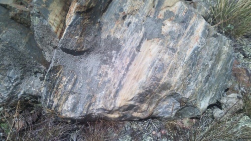 Гигантские зелёные валуны для ландшафтного дизайна весом более 5 тонн купить в Брянской области